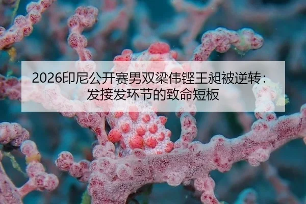 yin-ni-gong-kai-sai-nan-shuang-liang-wei-keng-wang-chang-bei-ni-zhuan-fa-jie-fa-huan-jie-de-zhi-ming-duan-ban-3-245.jpg