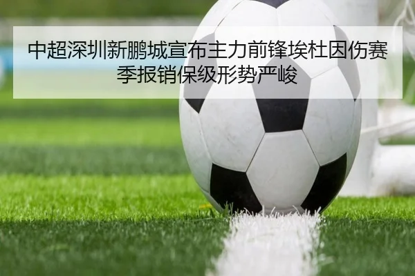 中超深圳新鹏城宣布主力前锋埃杜因伤赛季报销保级形势严峻