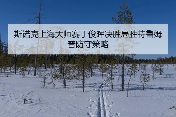 斯诺克上海大师赛丁俊晖决胜局胜特鲁姆普防守策略